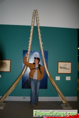 <p>The mouth of a whale</p>