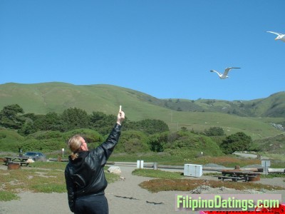 <p>feeding birds at ocean.</p>