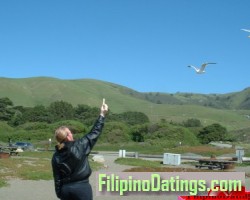 feeding birds at ocean.